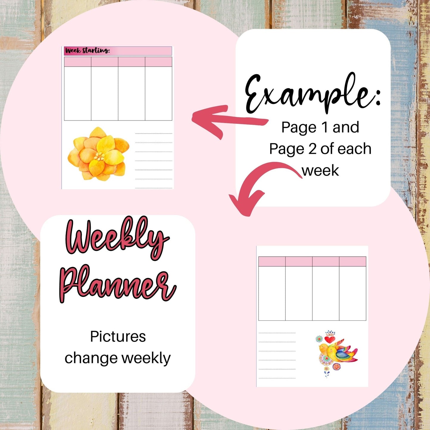 Stay on Top of Your Schedule with this 2023-2024 Undated Weekly Planner - Digital Download Available!